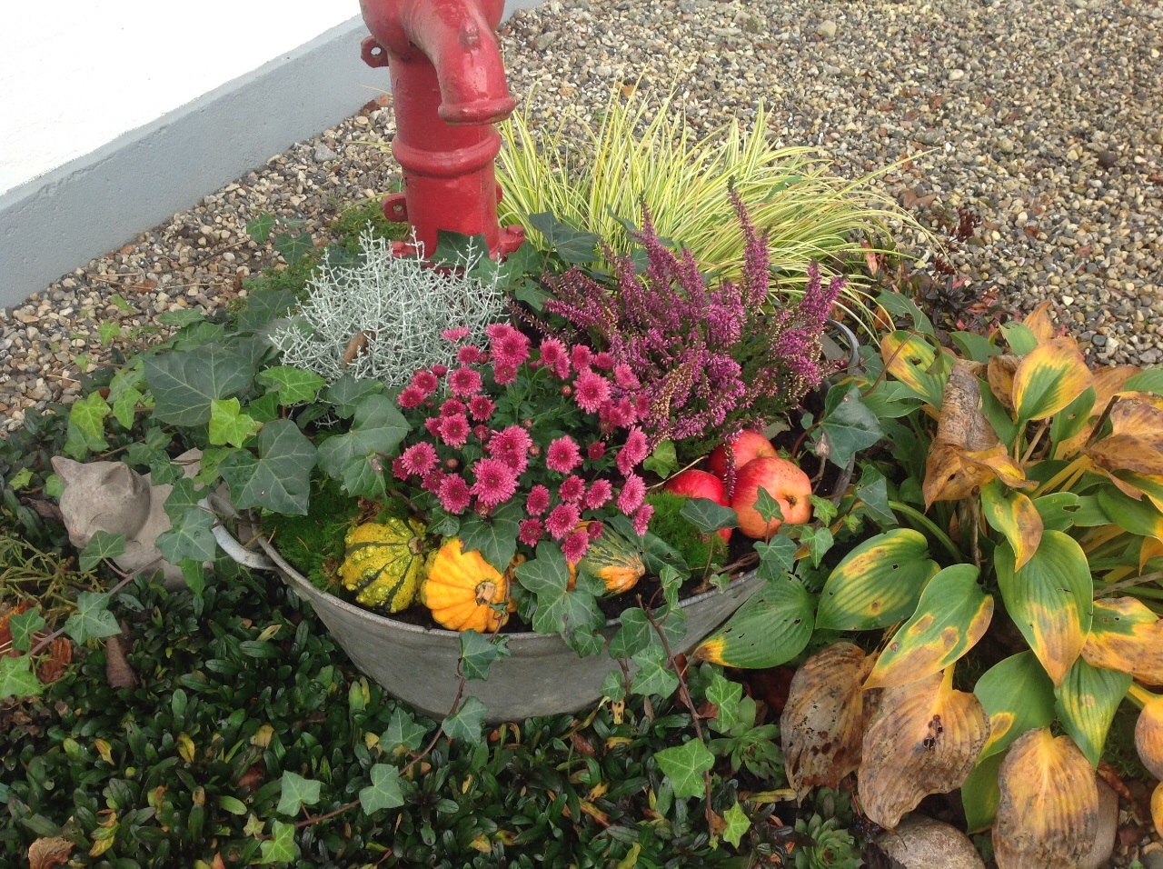 Efteråret har virkelig sin charme med alle de smukke farver..min blomsterkrukke under vandpumpen er ingen undtagelse😉