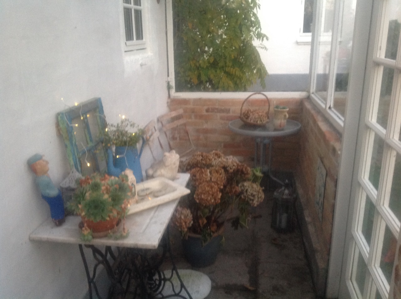 Sommerens krukker med sarte planter er nu frostsikret, dalilaknolde er gravet op og lagt til tørre,  rødbederne er høstet, og det lille drivhus er gjort klar til vinteren..så er der lidt pænt at kigge på selv i en lang, mørk og kold vinter😊