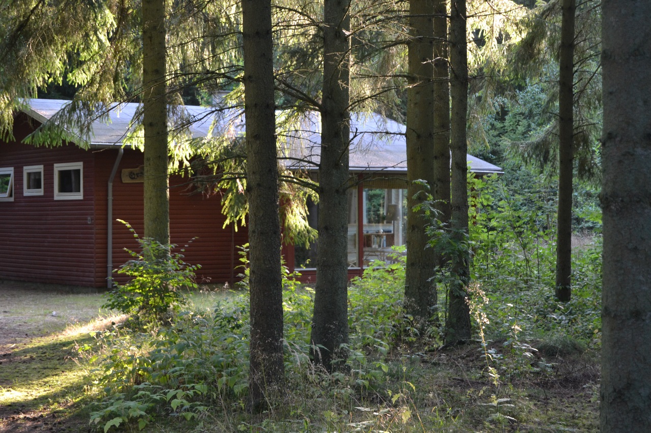 Vi har nydt et par dage i vores lille sommerhus..som ligger langt inde i skoven...lidt væk fra alting. Har holdt en lille tiltrængt pause fra alle gøremål og pligter som jo  altid er der, så pauser er noget man må prioritere. Der falder en særlig ro over os når vi lander her, hvor de eneste lyde man hører er fuglesang fra morgen til aften, og vinden i trætoppene. De næste par uger overlader vi det hele til sommergæster der har lejet sommerhuset.