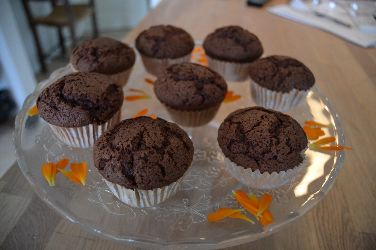 Dronefolk på besøg, og om lidt er der hjemmebagte muffins til kaffen :)