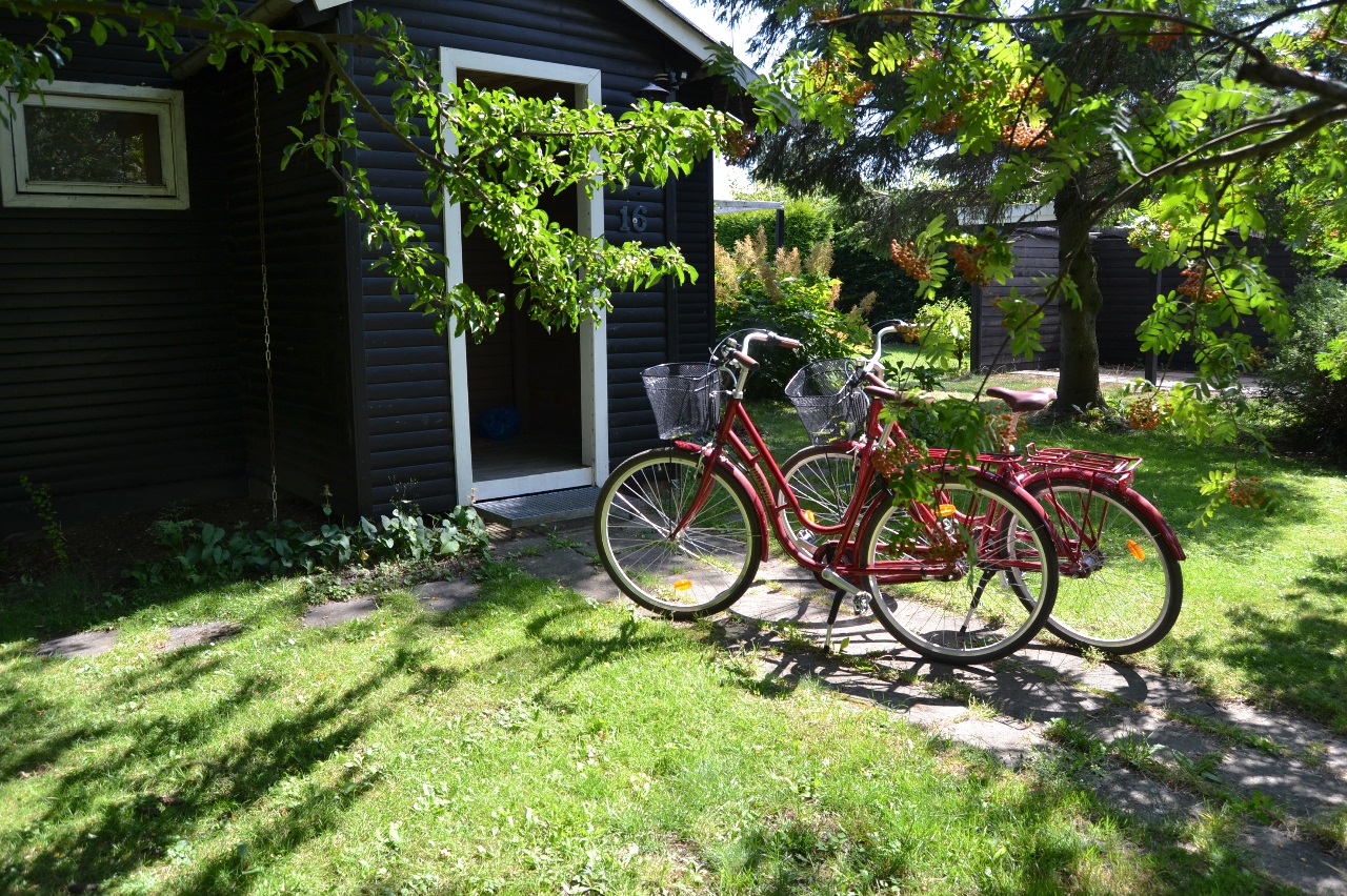 En dejlig uge i sommerhus på Sjælland, tæt ved vandet, med tid til afslapning og små ture på cykel ud i det smukke danske sommer-landskab..hvad kan man ønske sig mere?