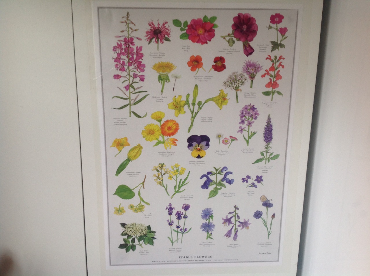 Har fået denne fine plakat af min søde mand..han ved jeg godt kan lide at pynte med spiselige blomster når jeg serverer morgenmad. 