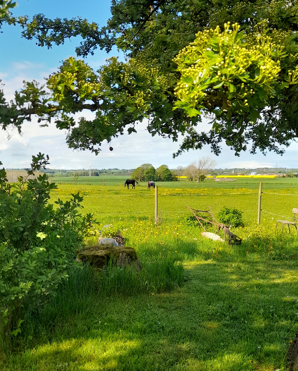 Danmark åbner langsomt op, efter måneder med nedlukning. Nu skal vi vænne os til igen at kunne færdes mere frit blandt hinanden, til at vi igen kan komme ud og få oplevelser i sommerlandet. Nu venter vi bare på sommervejret..man har da lov at håbe at det bliver en god sommer, med besøg af en masse glade sommergæster!
