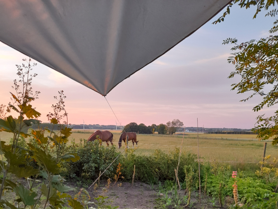Endnu en travl  sommer med besøg af mange gæster fra nær og fjern. Vi har også haft tid til at sætte os ned og nyde aftenerne, og der er  især et spot vi nyder særlig meget; Terrassen ved den lille hytte. Her er udsigt ud over markerne.. og hestene går her, dem får vi også lov til bare at nyde hver dag. Vi føler os heldige.